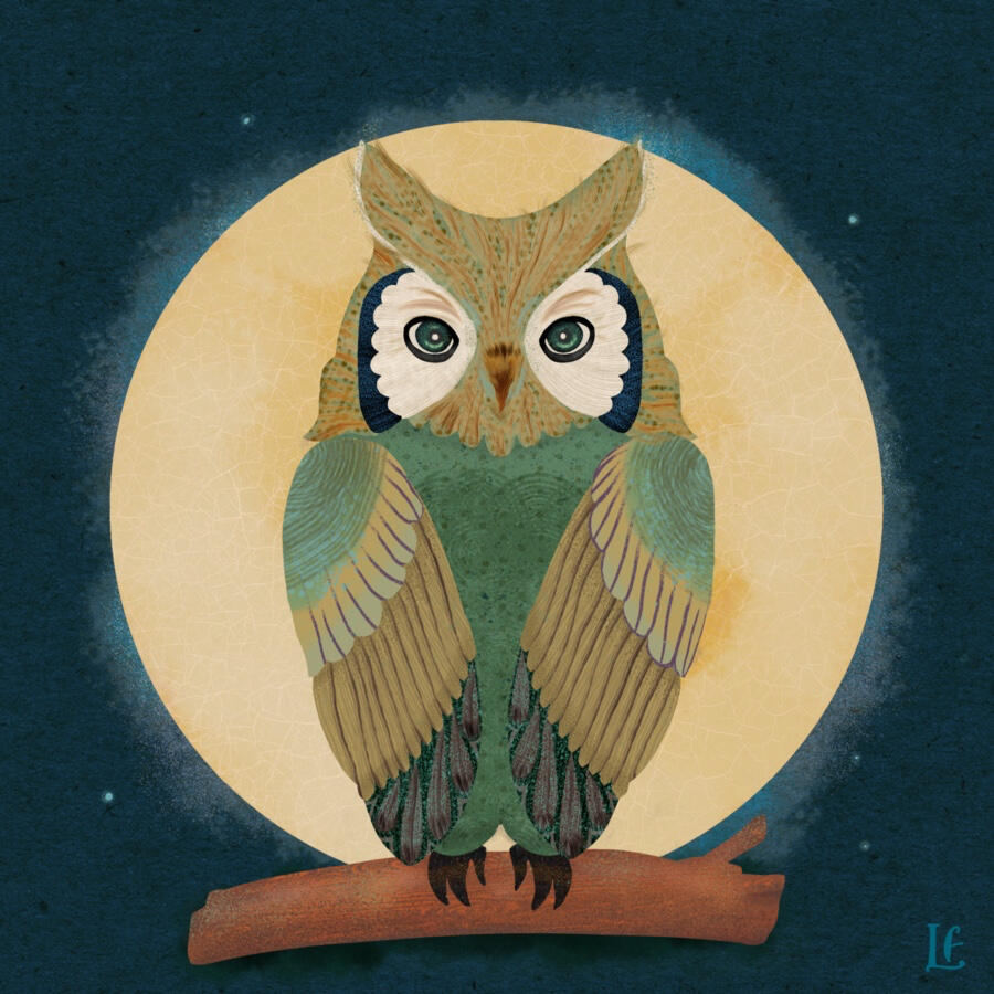 Illustration of an owl against a velvety teal-black sky and full moon, by Lisa Firke.